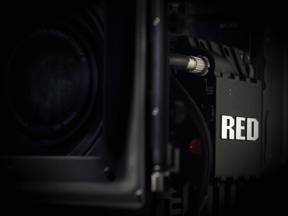 Red Scarlet for Rental